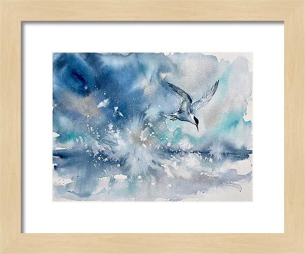 Tern In Flight Over Water