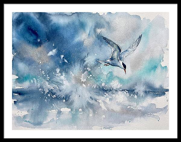 Tern In Flight Over Water