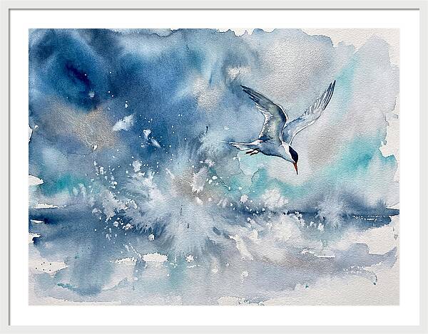 Tern In Flight Over Water