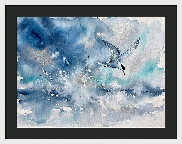 Tern In Flight Over Water