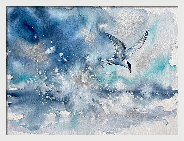Tern In Flight Over Water