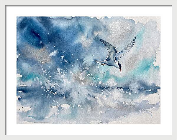 Tern In Flight Over Water