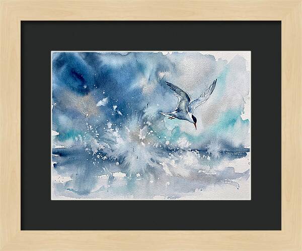 Tern In Flight Over Water
