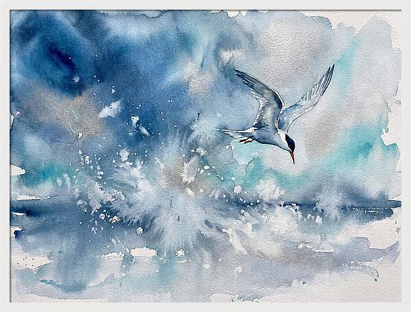 Tern In Flight Over Water