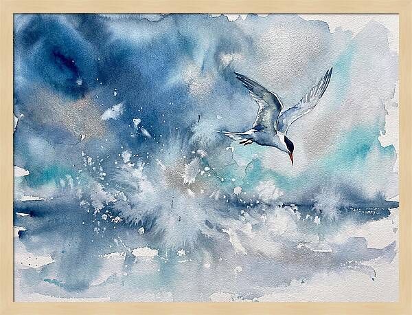 Tern In Flight Over Water