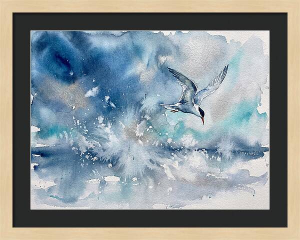 Tern In Flight Over Water