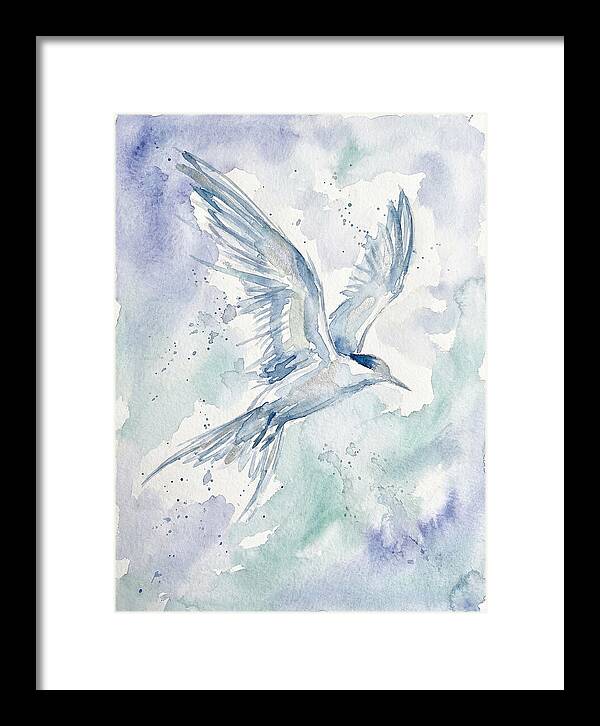 Tern In Flight
