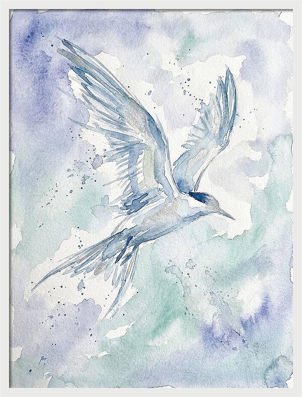 Tern In Flight