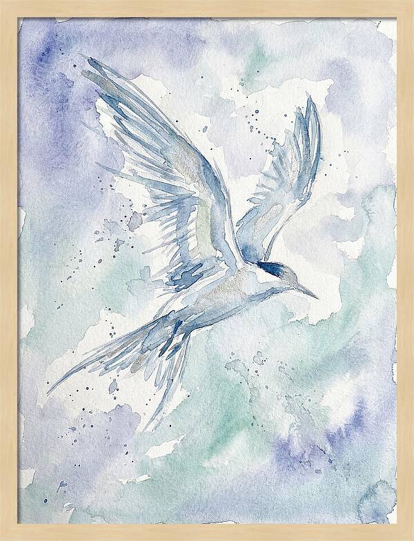 Tern In Flight