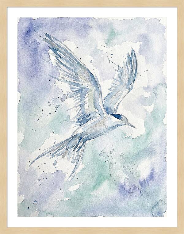 Tern In Flight