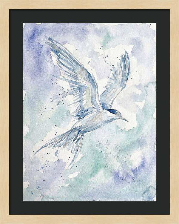 Tern In Flight