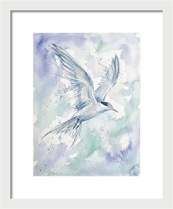 Tern In Flight