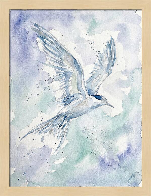 Tern In Flight