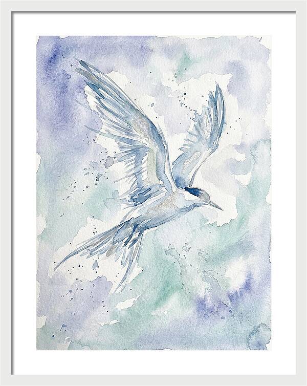 Tern In Flight