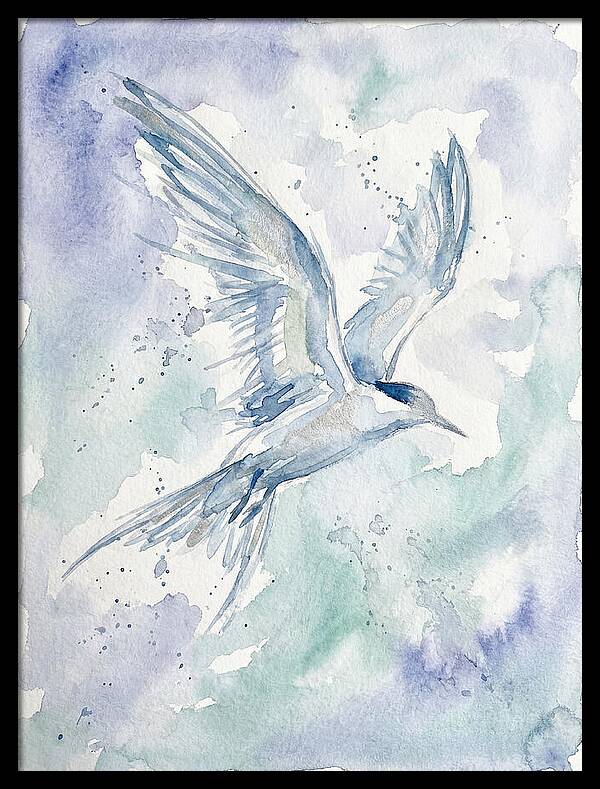 Tern In Flight