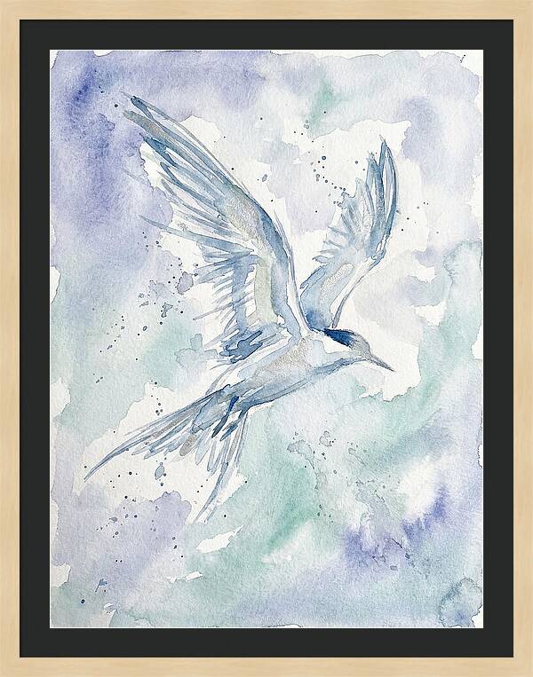 Tern In Flight
