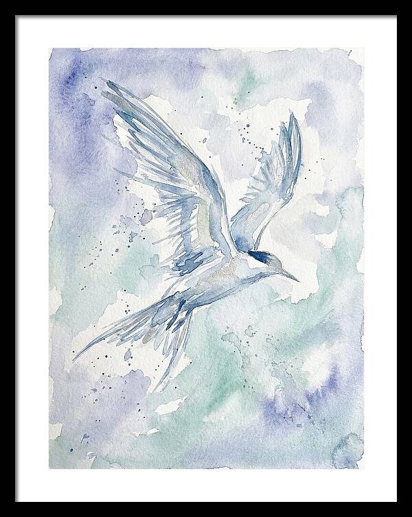 Tern In Flight