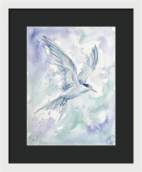 Tern In Flight