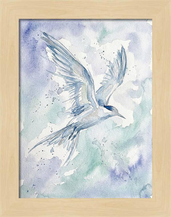 Tern In Flight