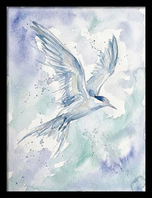 Tern In Flight