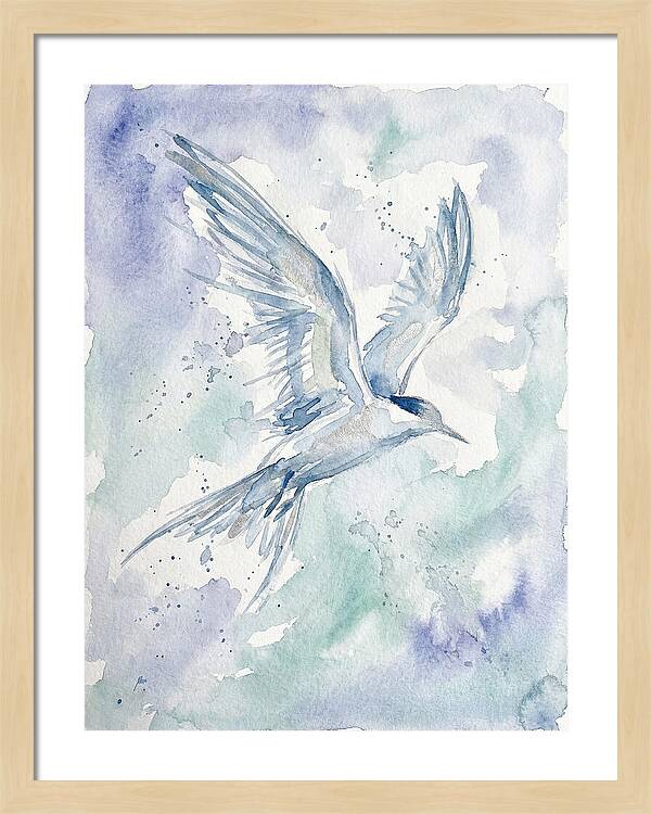 Tern In Flight