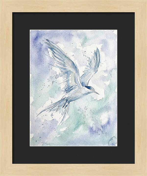Tern In Flight