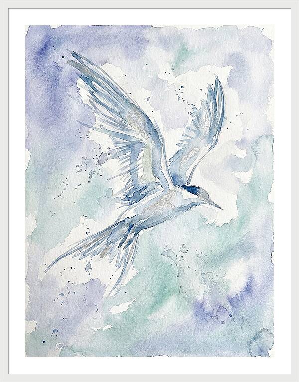 Tern In Flight