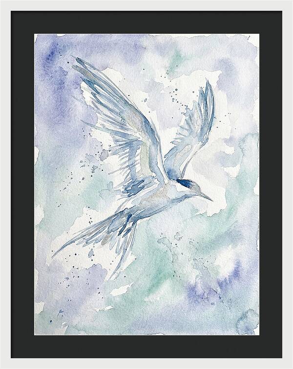 Tern In Flight