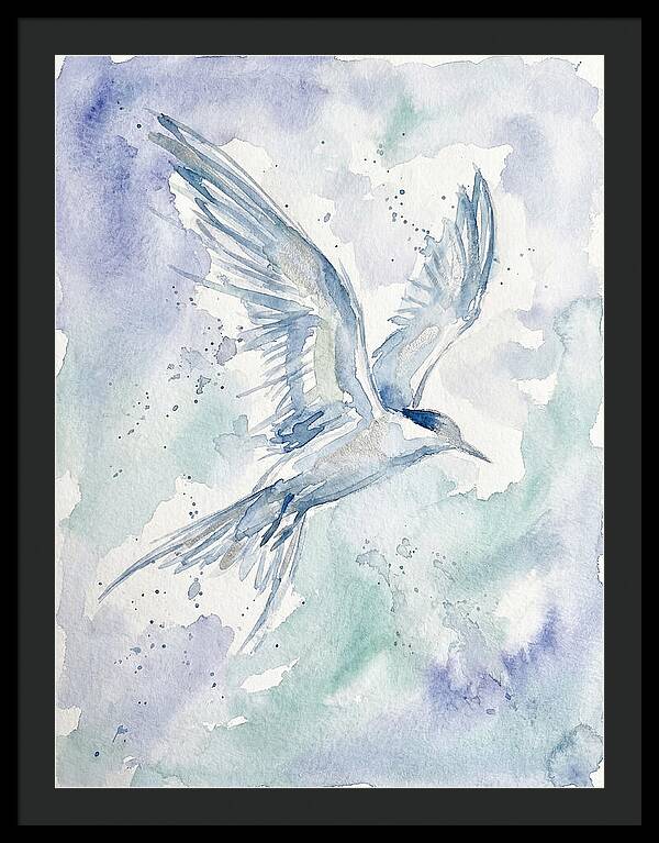 Tern In Flight