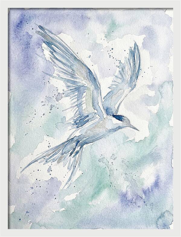 Tern In Flight