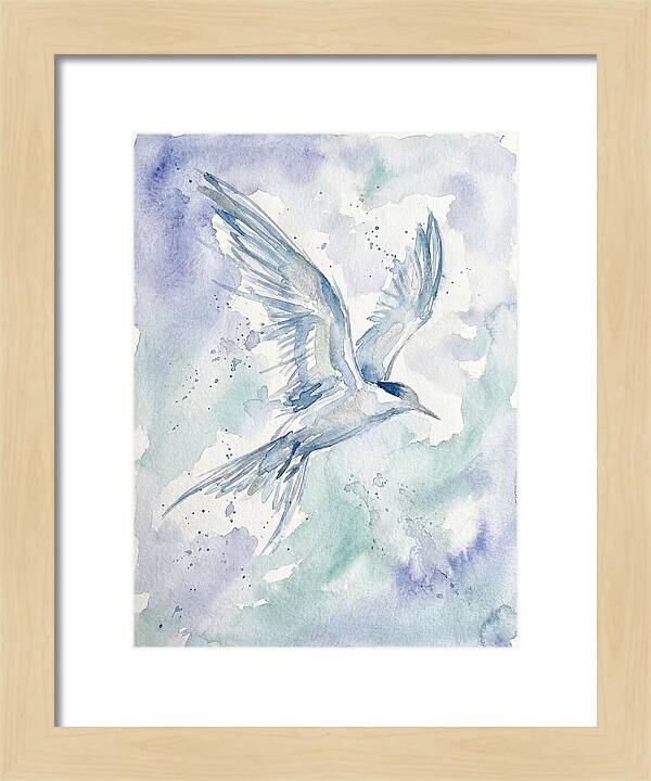 Tern In Flight