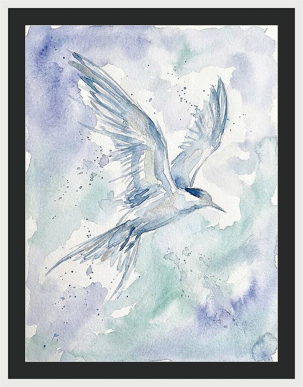Tern In Flight