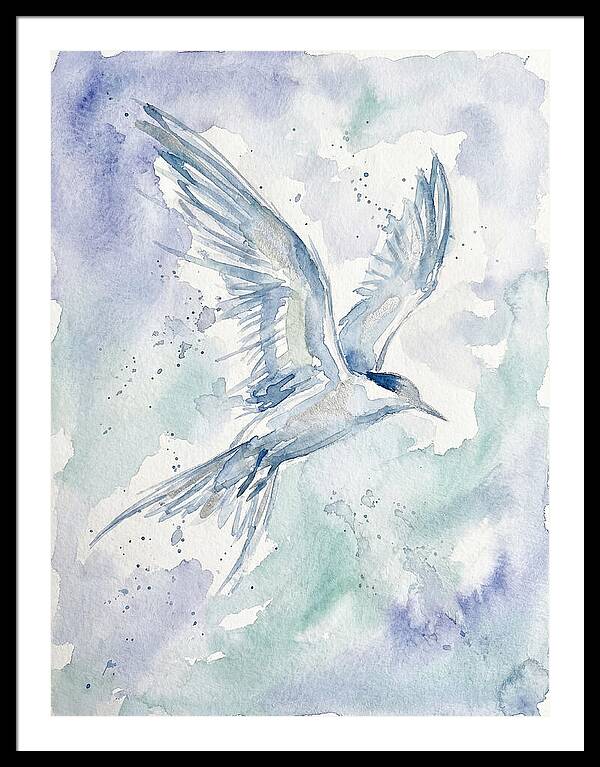 Tern In Flight