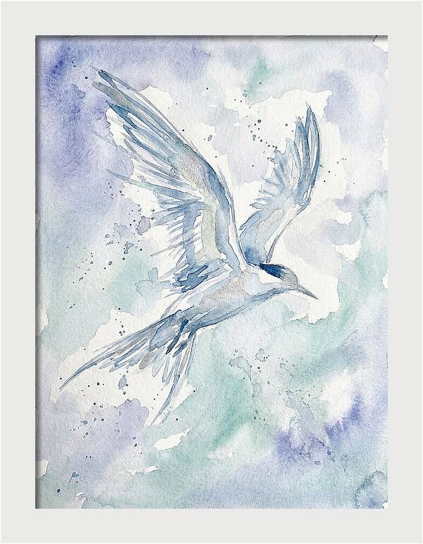 Tern In Flight