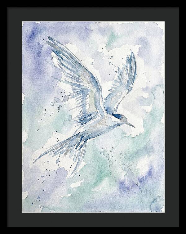 Tern In Flight