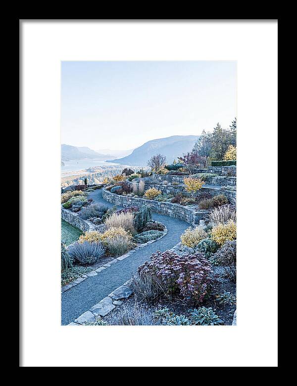 Terraced Hillside Garden In Autumn