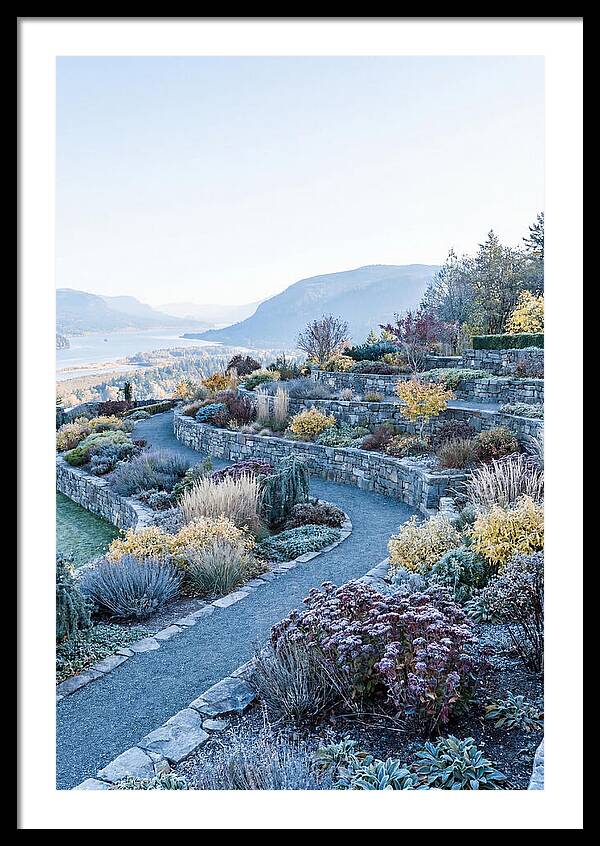Terraced Hillside Garden In Autumn