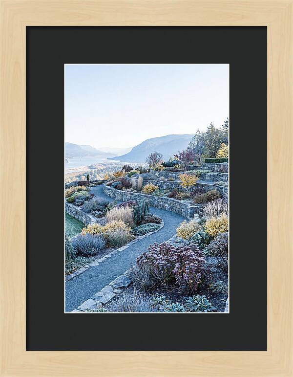 Terraced Hillside Garden In Autumn