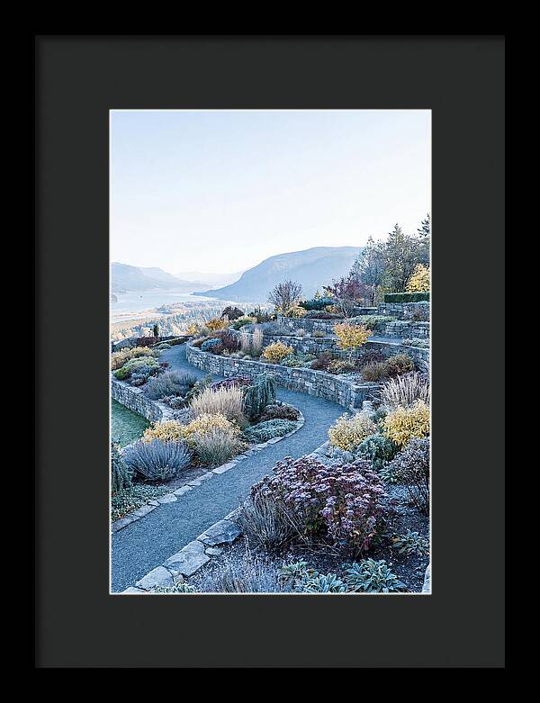 Terraced Hillside Garden In Autumn