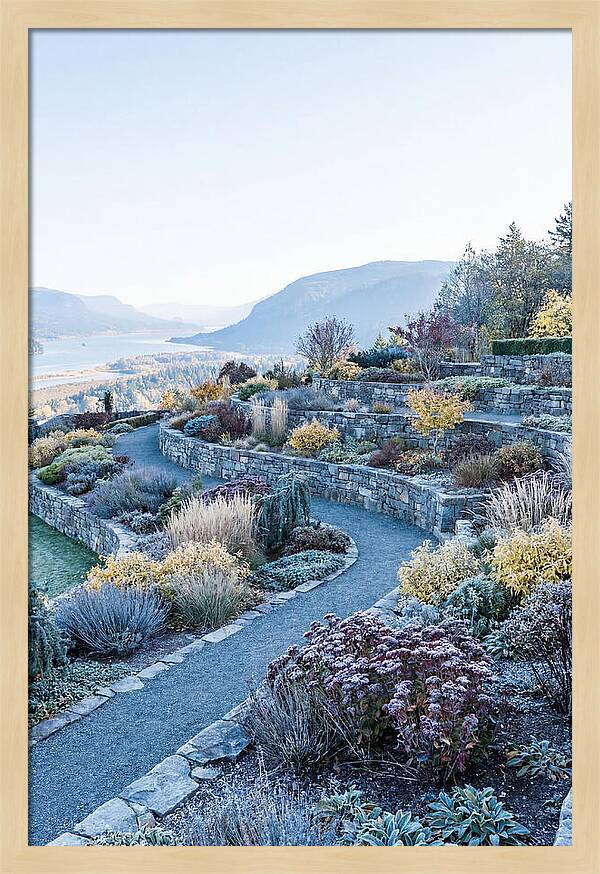 Terraced Hillside Garden In Autumn