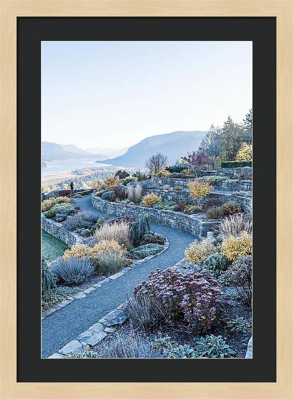 Terraced Hillside Garden In Autumn