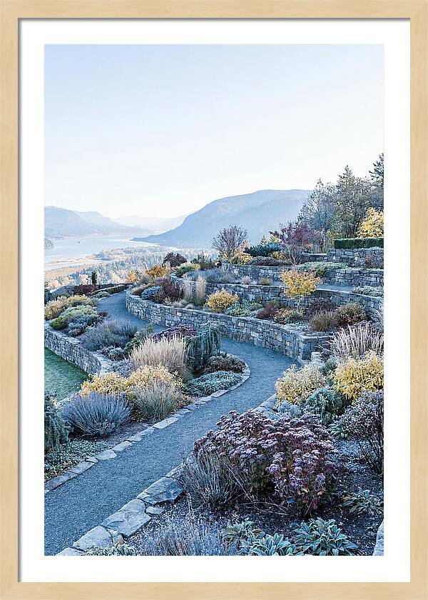 Terraced Hillside Garden In Autumn