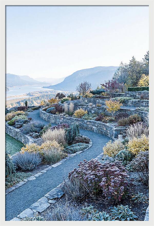 Terraced Hillside Garden In Autumn