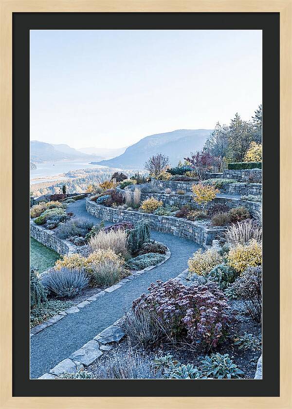 Terraced Hillside Garden In Autumn