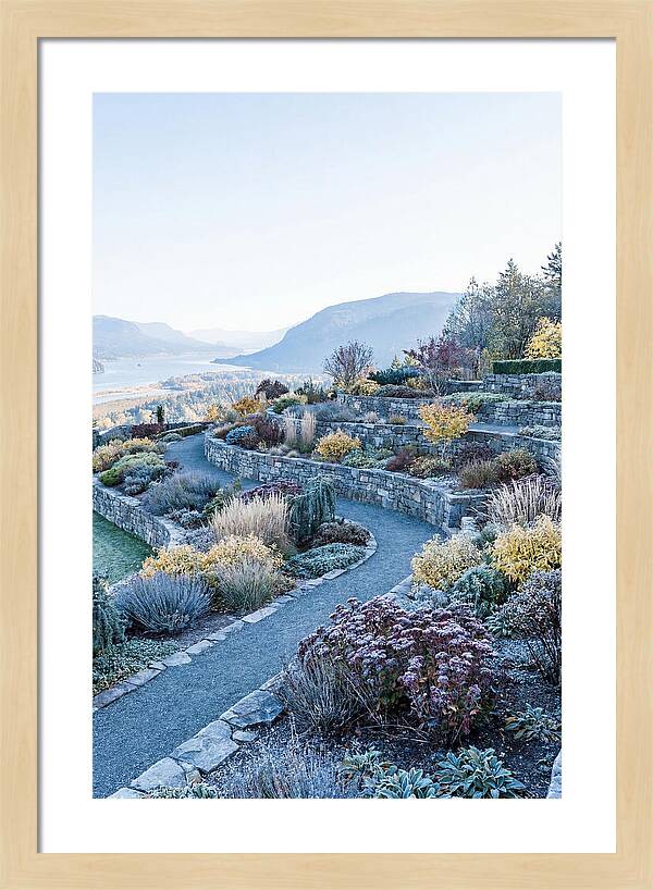 Terraced Hillside Garden In Autumn