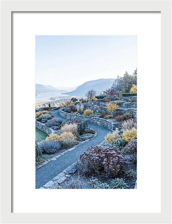 Terraced Hillside Garden In Autumn