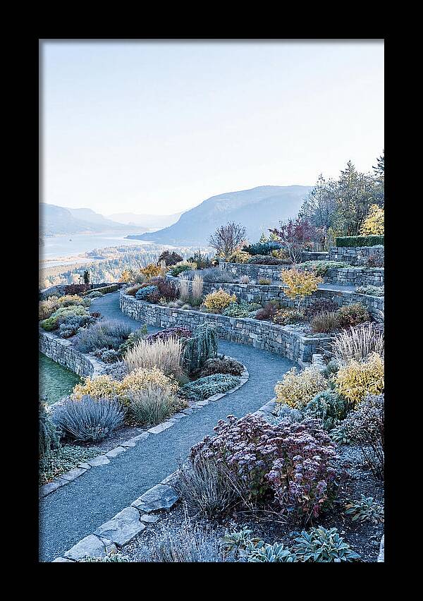 Terraced Hillside Garden In Autumn