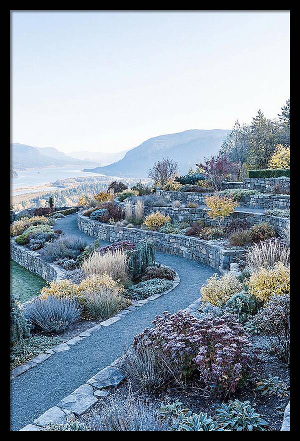 Terraced Hillside Garden In Autumn