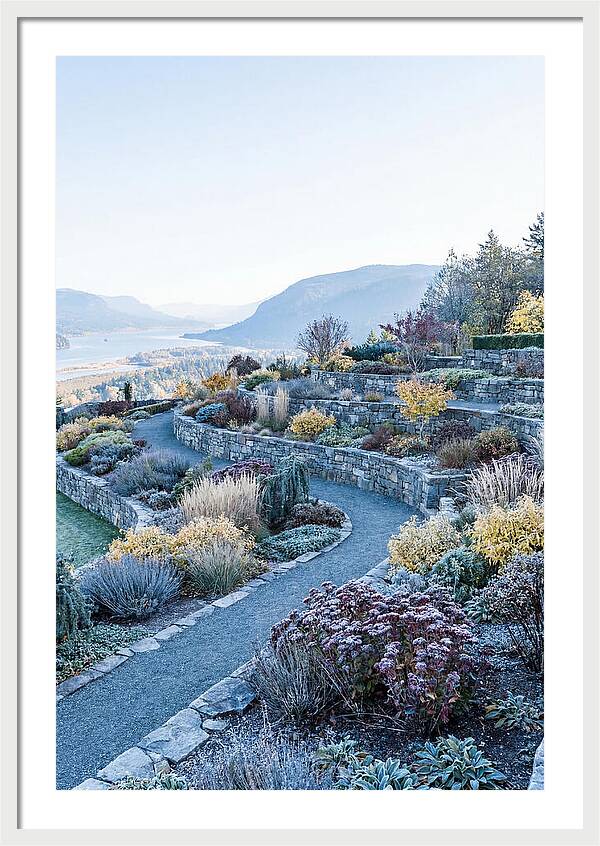 Terraced Hillside Garden In Autumn