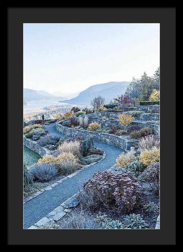 Terraced Hillside Garden In Autumn